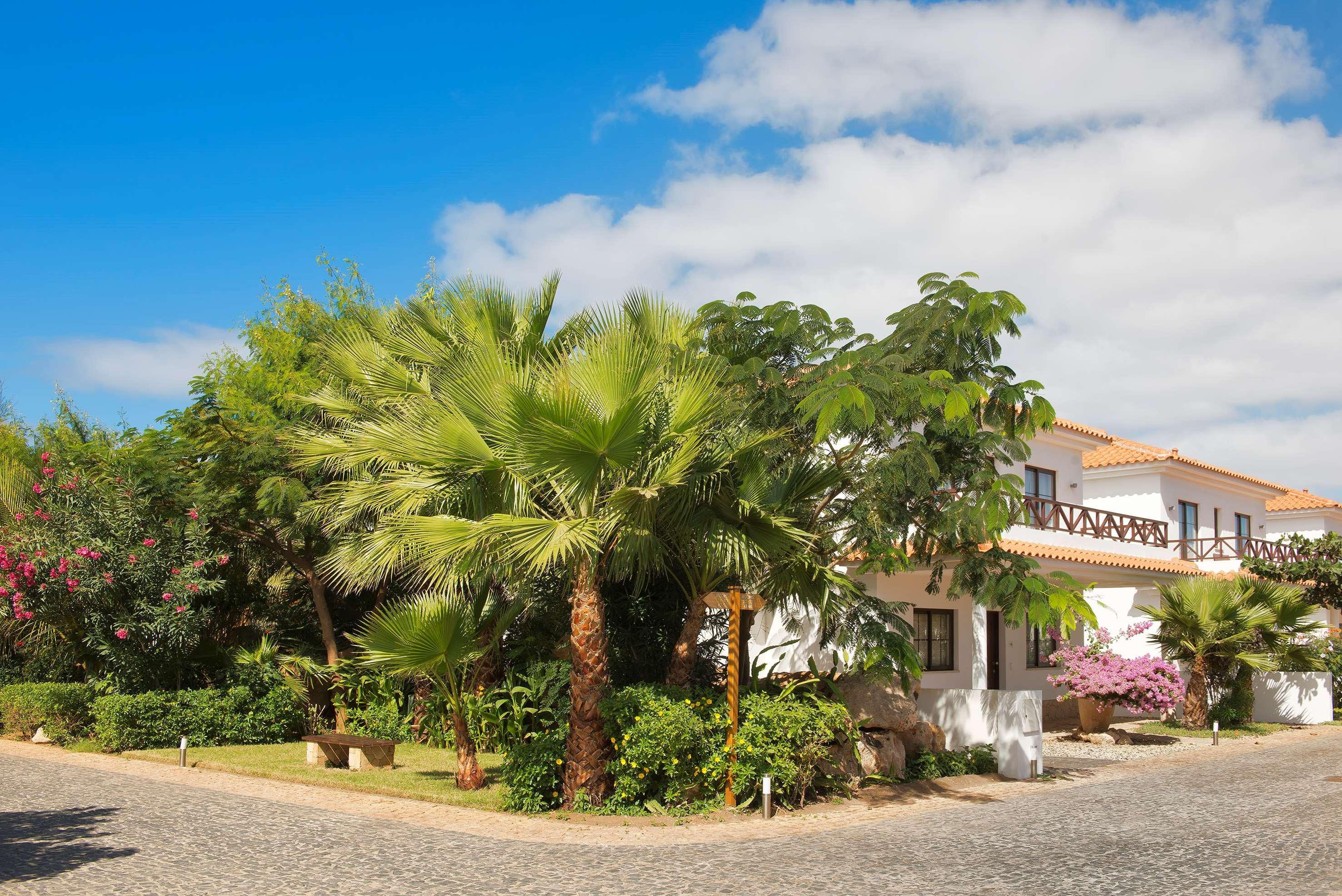 فندق Melia Tortuga Beach سانتا ماريا المظهر الخارجي الصورة